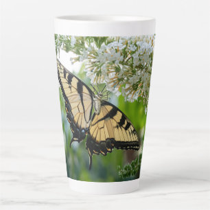 Ein Schmetterling mit gelben und schwarzen Flügeln Milchtasse