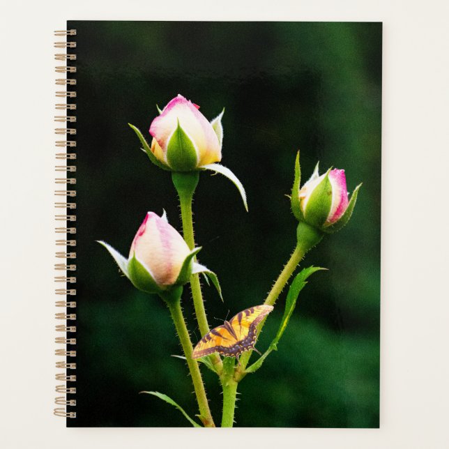 Ein Schmetterling und Rose Planer (Vorderseite)