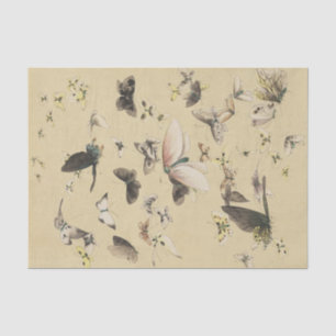 Ein Schmetterlings-Convention-Tissue-Papier Seidenpapier