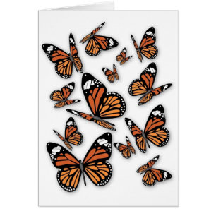 Ein Schmetterlingsflug