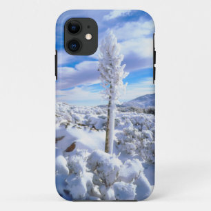 Ein schneebedeckter Yucca iPhone 11 Hülle