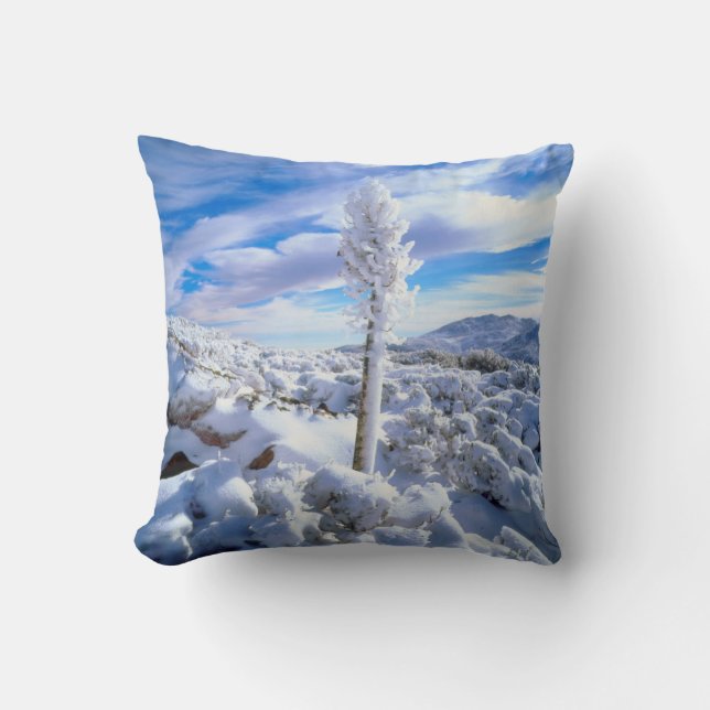 Ein schneebedeckter Yucca Kissen (Vorderseite)
