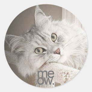 Ein schöne Meow-Aufkleber Runder Aufkleber