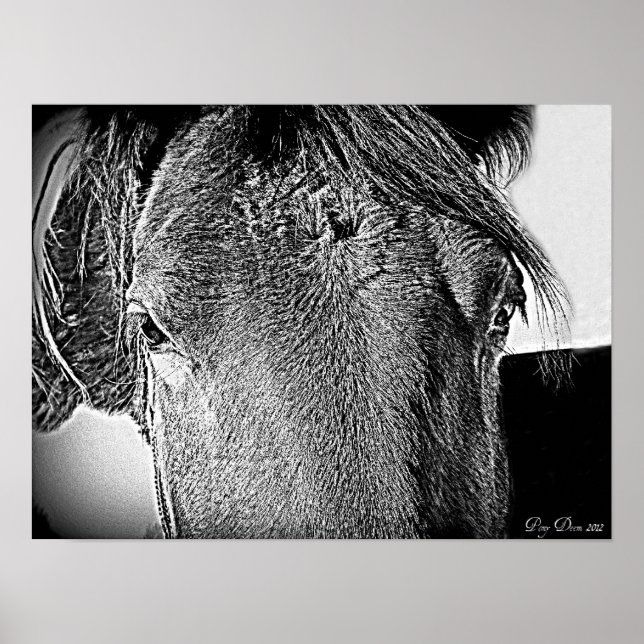 Ein schöner Anblick Poster (Vorne)