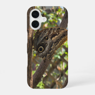 ein schöner brauner Schmetterling iPhone 16 Hülle