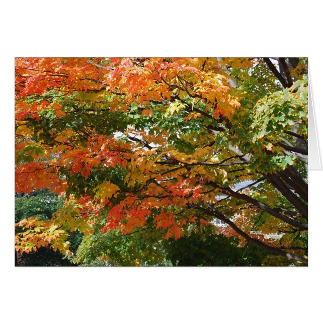 Ein schöner Herbsttag in Salem, MA (Vorderseite (Horizontal))