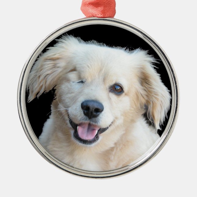 Ein schöner mit Augen Hund Ornament Aus Metall (Vorne)