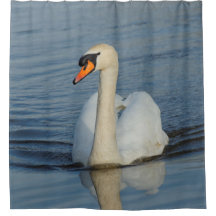 Ein schöner Mute Swan nähert sich