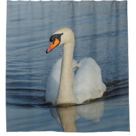 Ein schöner Mute Swan nähert sich Duschvorhang