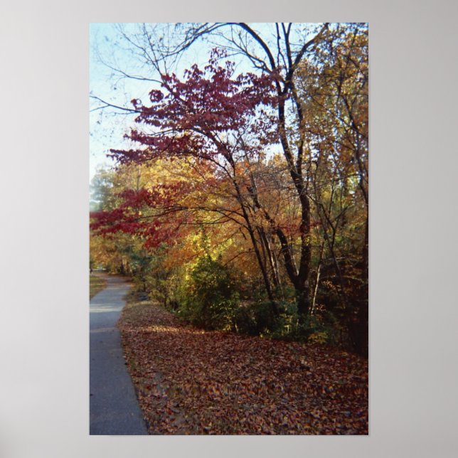 Ein schöner Ort Poster (Vorne)