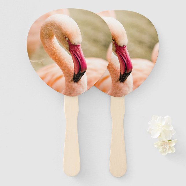 Ein schöner rosa Flamingo Fächer (Vorne und Hinten)