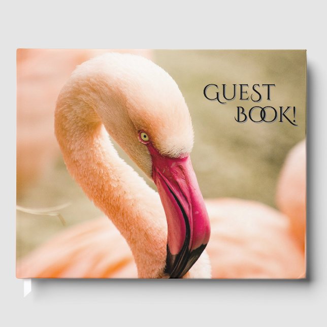 Ein schöner rosa Flamingo Gästebuch (Vorderseite)