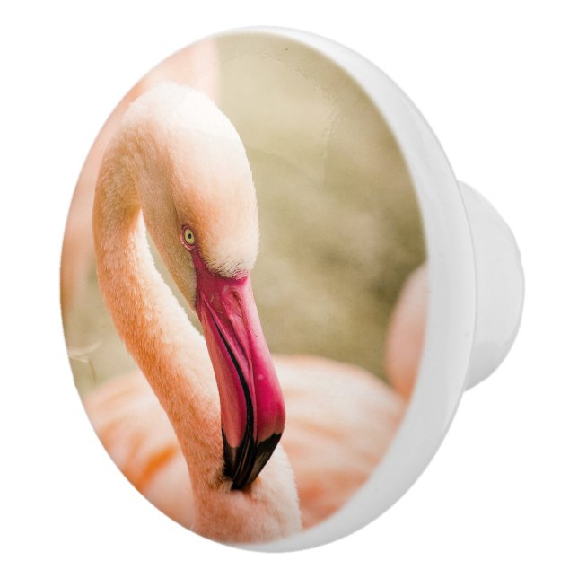 Ein schöner rosa Flamingo Keramikknauf (Rechts)