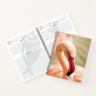 Ein schöner rosa Flamingo Notizbuch