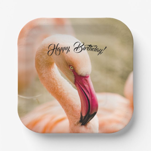 Ein schöner rosa Flamingo zum Geburtstag Pappteller (Vorderseite)