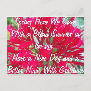 Ein schöner Sommer in der Sun Post Card Postkarte