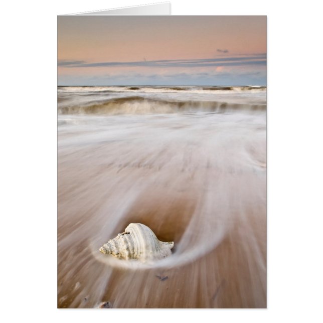 Ein schöner Strand | Costa Blanca, Spanien (Vorne)