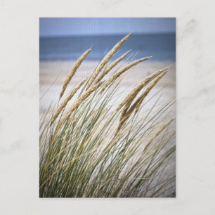 Ein schöner Tag am Strand Postkarte