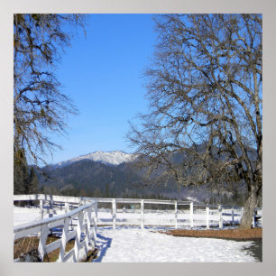 Ein schöner Tag im Winter...... Poster