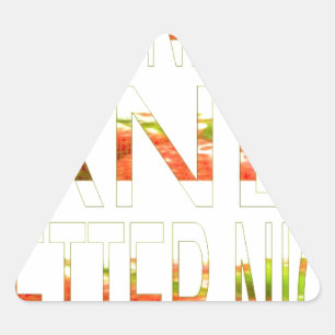 Ein schöner Tag und eine bessere Nachtkunst Dreieckiger Aufkleber