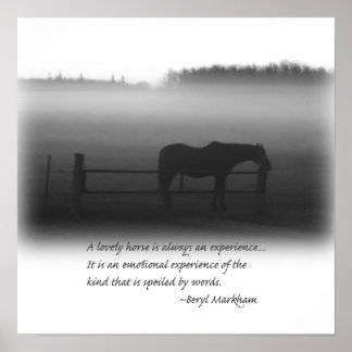 Ein schönes Pferdeposter Poster