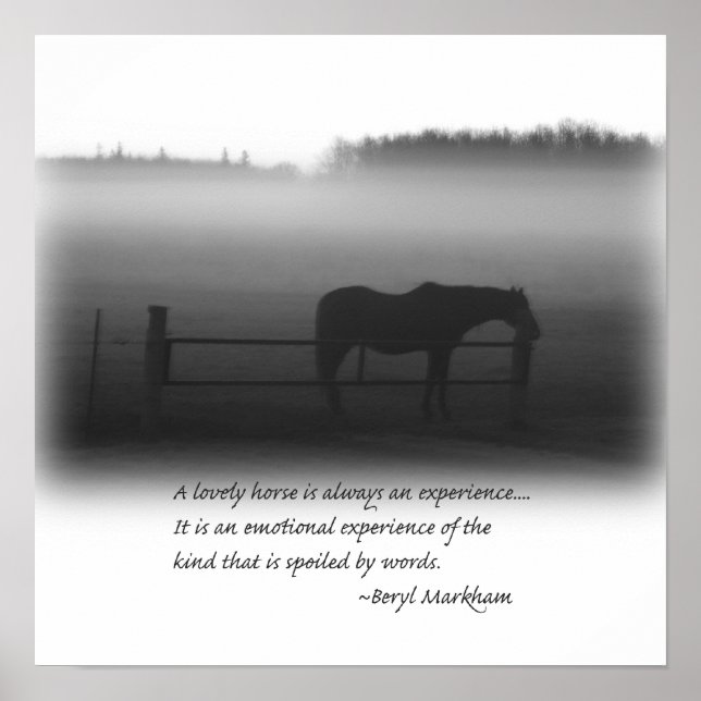 Ein schönes Pferdeposter Poster (Vorne)
