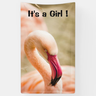 Ein schönes rosa Flamingo Das Mädchen Banner