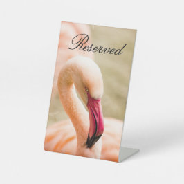 Ein schönes rosa Flamingo vorbehalten Sockelschild