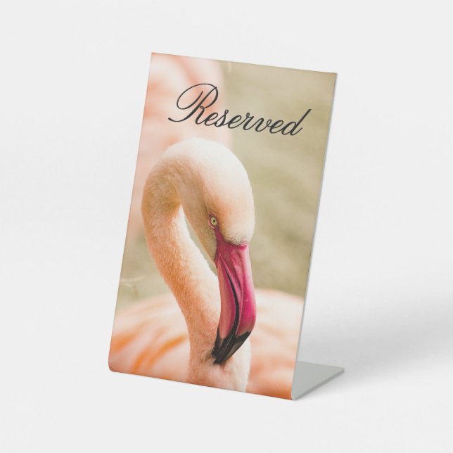 Ein schönes rosa Flamingo vorbehalten Sockelschild (Vorderseite)