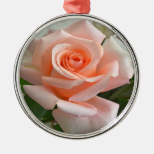 Ein schönes rosa Rose Premium Rund Ornament