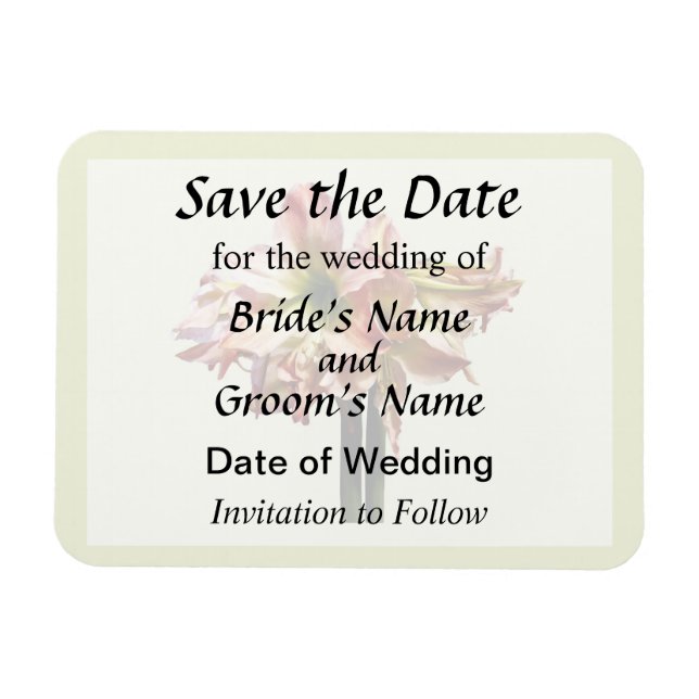 Ein schönes, rosa und weißes Amaryllis Save the Da Magnet (Horizontal)