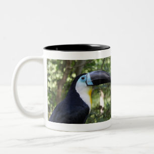 Ein schönes Toucan Foto Zweifarbige Tasse