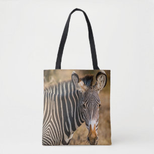 EIN SCHÖNES ZEBRA IN SAMBURU NATIONALE RESERVE