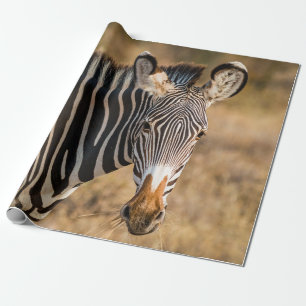 EIN SCHÖNES ZEBRA IN SAMBURU NATIONALE RESERVE GESCHENKPAPIER