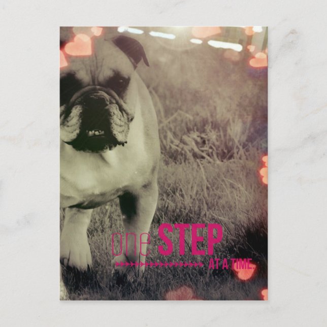 Ein Schritt nach dem anderen, Bulldog Postkarte (Vorderseite)