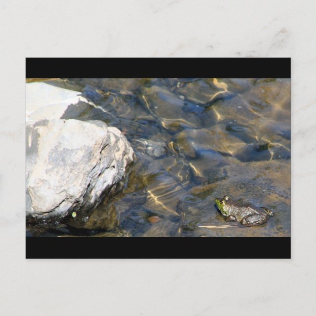 Ein Schritt Postkarte (Vorderseite)