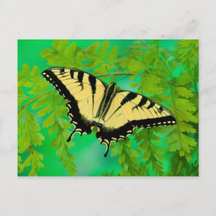 Ein Schwalbenschwanz Schmetterling landet Postkarte