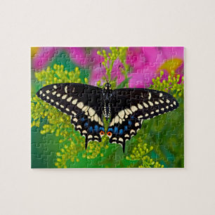 Ein Schwalbenschwanz-Schmetterling landet Puzzle