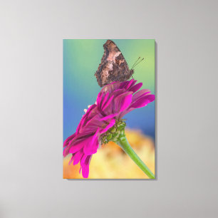Ein Schwalbenschwanz Schmetterling Papilio Multi Leinwanddruck