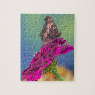 Ein Schwalbenschwanz Schmetterling Papilio Multi Puzzle