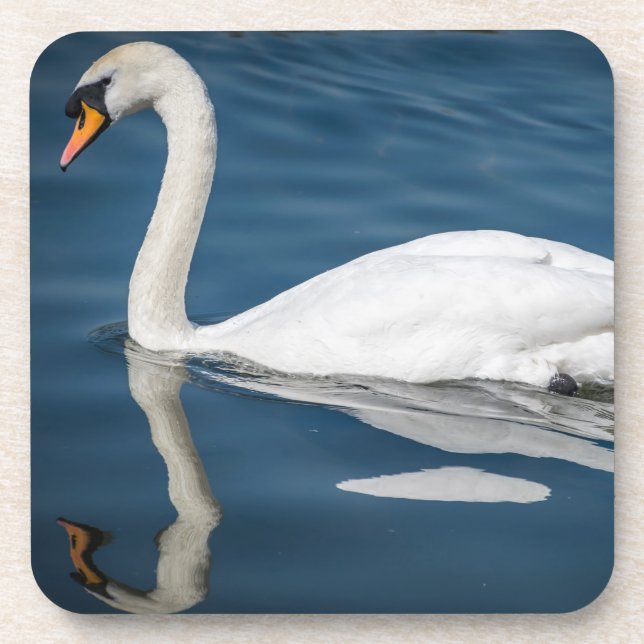 Ein Schwan und seine Reflexionsharten Getränkeuntersetzer (Vorderseite)