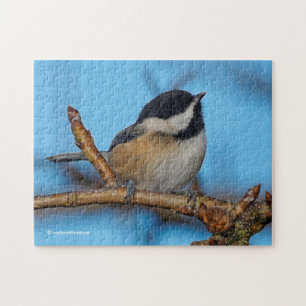 Ein schwarz gekapptes Chickadee auf dem Birnbaum Puzzle