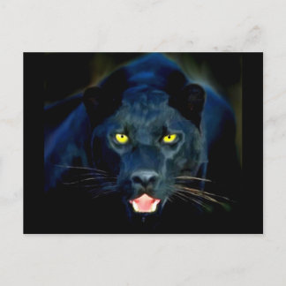 Ein schwarzer Panther Postkarte