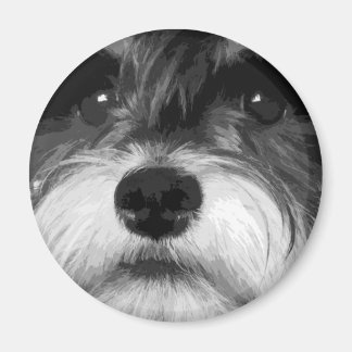 Ein Schwarzweiß-Miniaturschnauzer Magnet