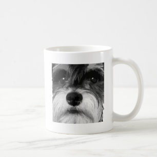 Ein Schwarzweiss-Zwergschnauzer Kaffeetasse