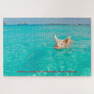 Ein Schwein schwimmt auf den Bahamas. Puzzle