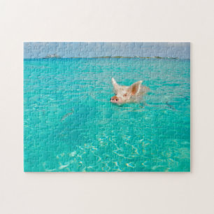 Ein Schwein schwimmt auf den Bahamas. Puzzle