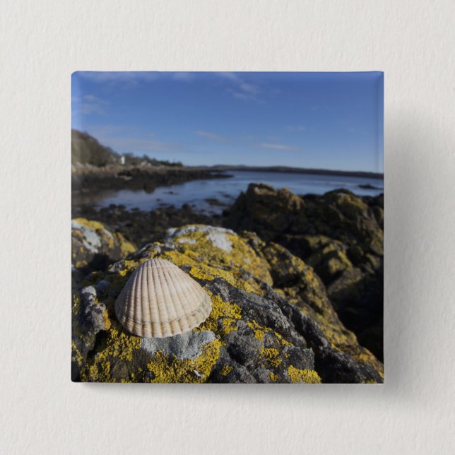 Ein Seashell sitzt auf einem Felsen | Dumfries, Button (Vorderseite)