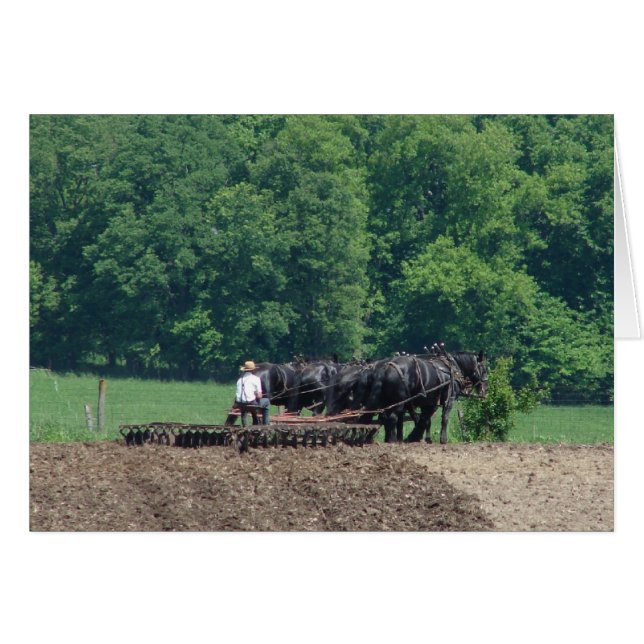 Ein Sechspferd-Team (Vorderseite (Horizontal))