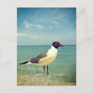 Ein Seeadler Feiertagspostkarte
